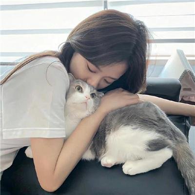 历史不下课 海报
